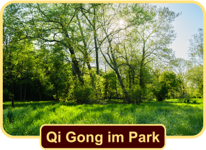 Qi Gong im Grüttpark Lörrach